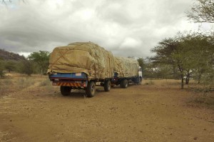 Hay arrives at Hippo Haven by truck