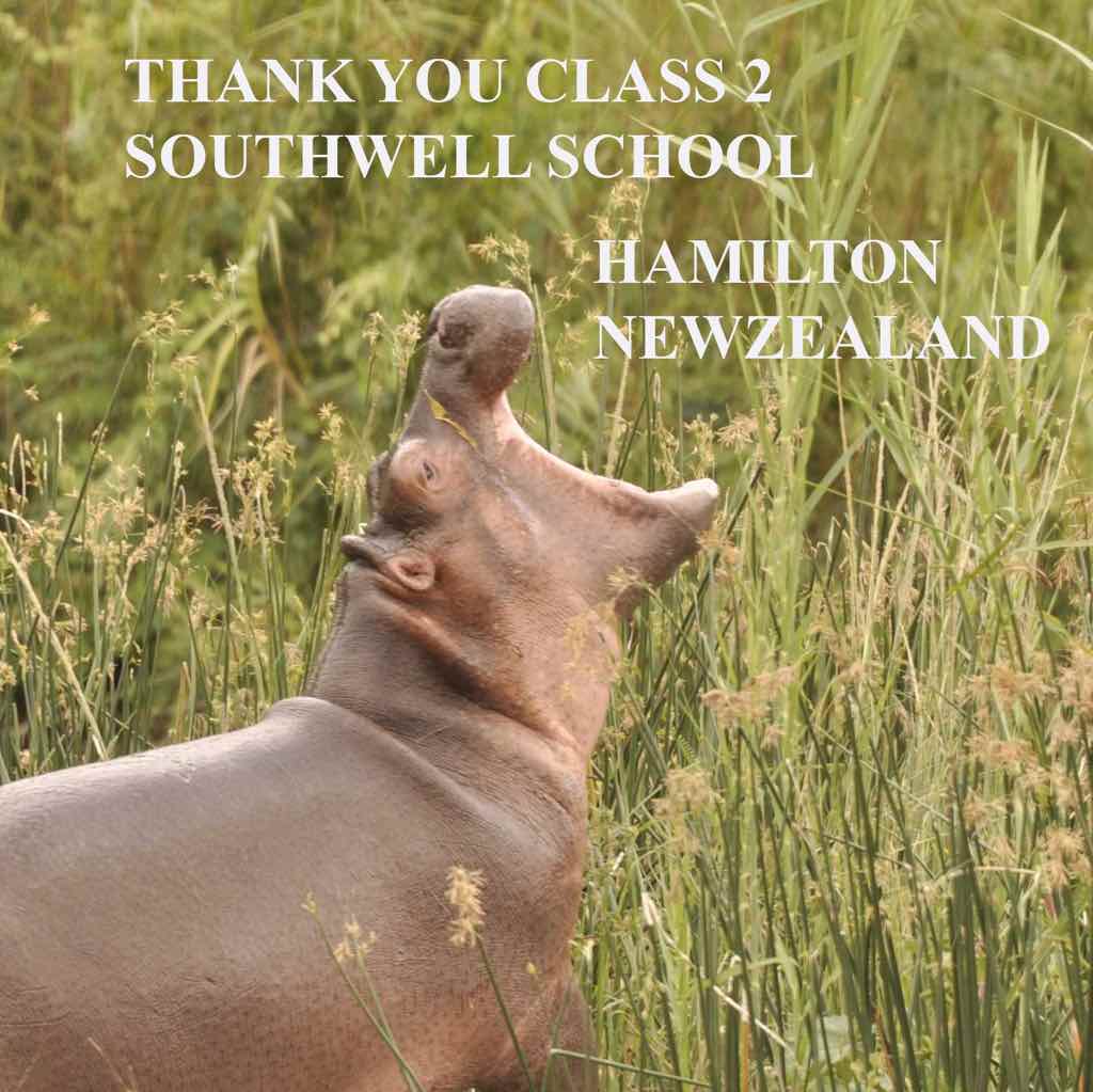 Kids from Southwell Shool (NZ) adopted 3 Hippos