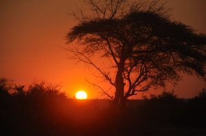 sunset-on-our-game-drive