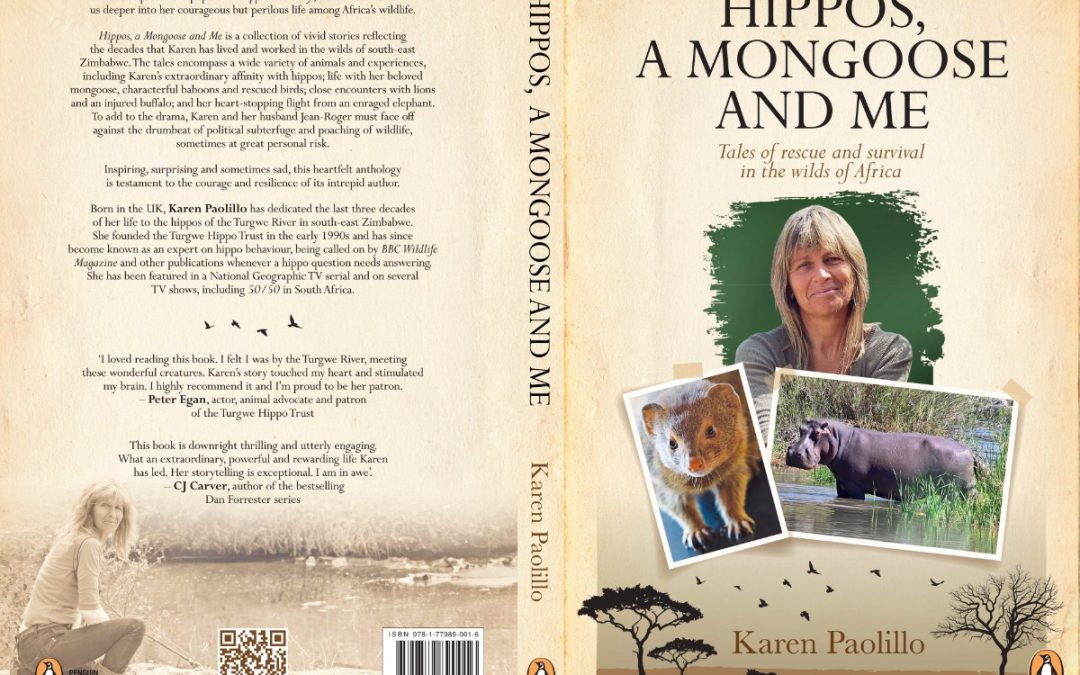Register for the Live Launch of Karen’s New Book
